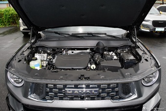 2023款哈弗二代大狗1.5T 两驱潮野版Plus图片