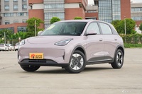 2025款吉利星愿 310km 梦想版