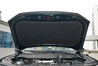 2026款哈弗大狗PLUS Hi4 105km 潮电版