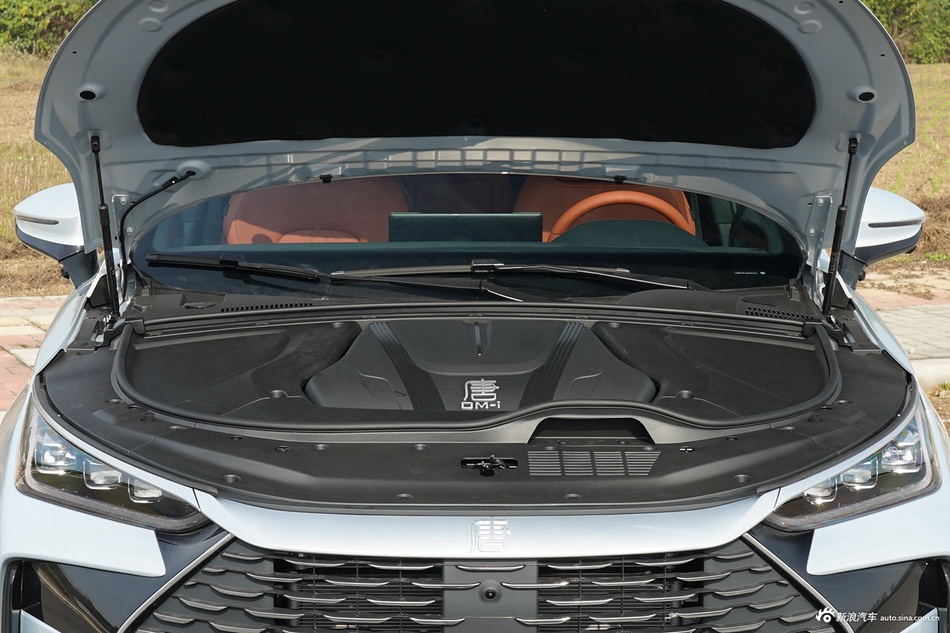 2025款唐DM-i 175KM 尊荣型