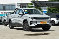 2025款雷达金刚 430km 两驱长厢 招财金刚