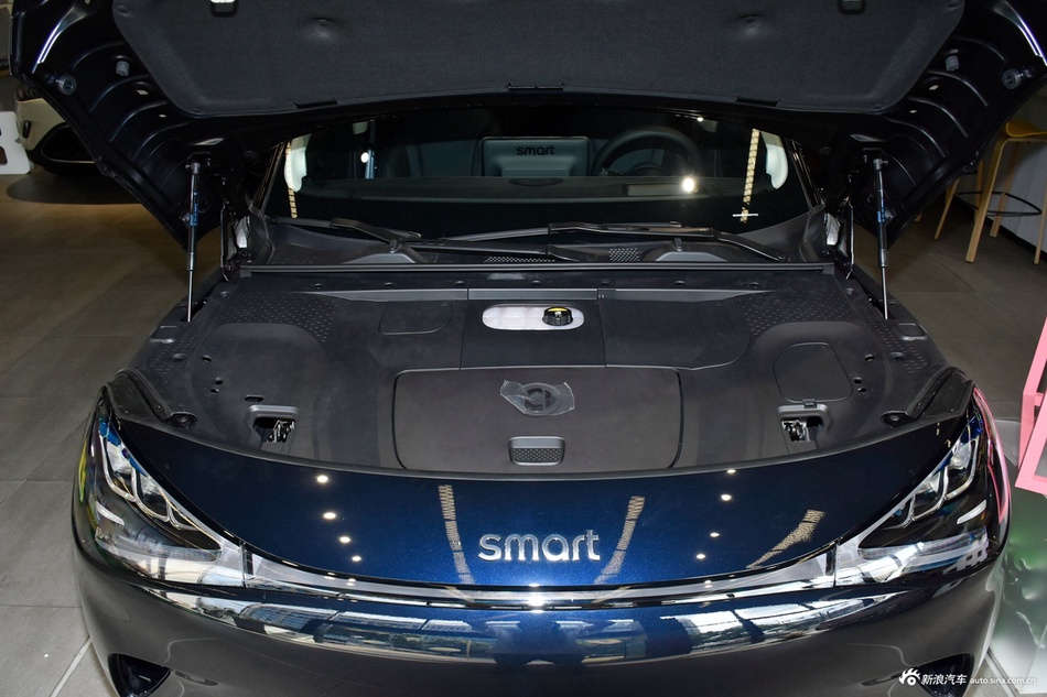 2026款smart精灵1号 灵动新奢版