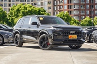 2024款奥迪Q6 45 TFSI quattro 黑武士版 6座