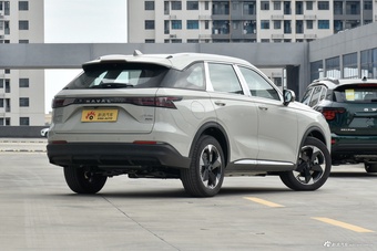 2025款枭龙MAX Hi4 110 Plus 智驾版