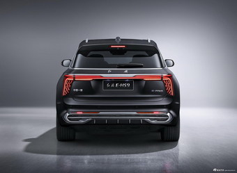 2020款红旗E-HS9 基本型