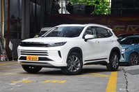 2020款星途LX 1.5T CVT星耀版