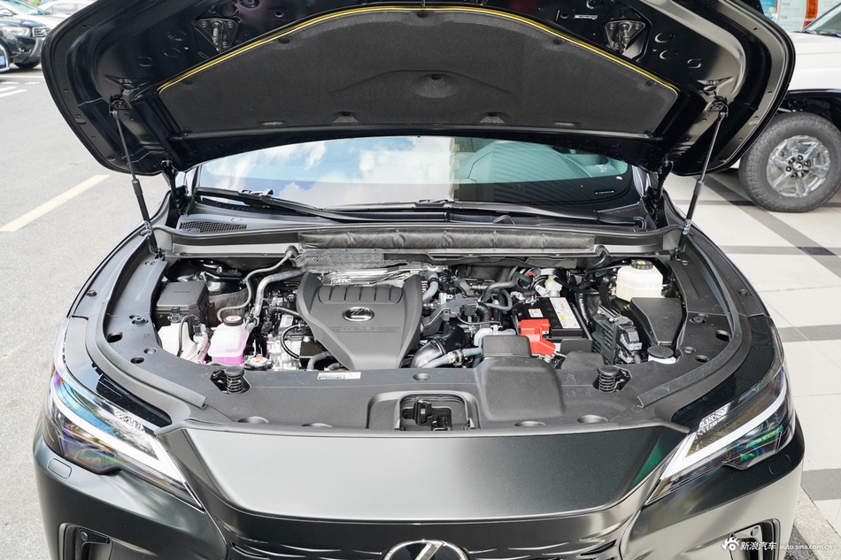 2026款雷克萨斯RX 300 四驱Black Edition