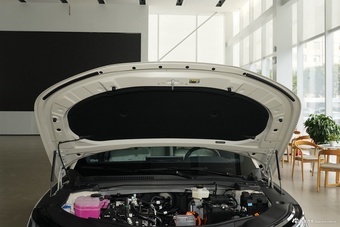 2026款风云A9 EV 基本款