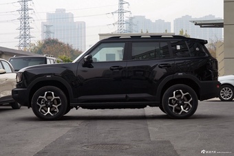 2025款山海T1 147km 四驱发现