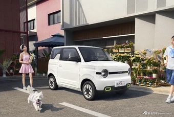 2025款熊猫mini 210km 元气熊 官图