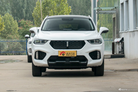 2019款WEY VV5 1.5T自动两驱颜先锋 