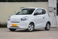 2021款科莱威CLEVER 302km全能版