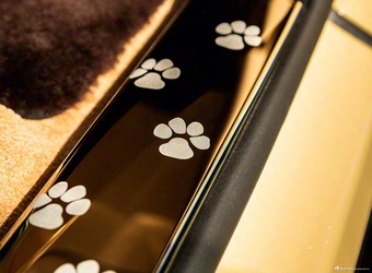 2025款闪灵 贝利