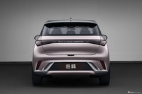 2021款比亚迪海豚 基本型