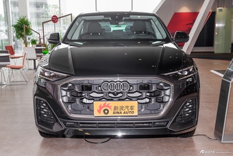 2024款奥迪Q8 55 TFSI 豪华动感型