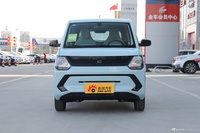 2022款风光MINIEV 豪华型