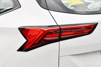 2024款新一代哈弗H6 2.0T 两驱Max
