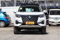 2022款帕拉索 2.0T 自动四驱尊雅型