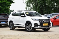 2020款瑞虎8 1.6T自动尊贵型290TGDI 