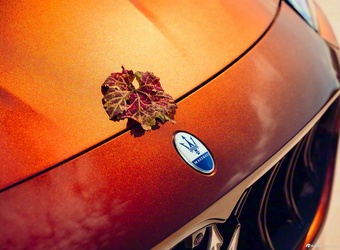 2026款Grecale Tributo Il Bruciato特别定制版 官图