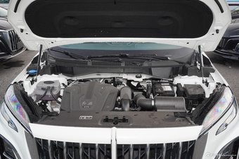 2024款红旗HS3 1.5T 善为版图片