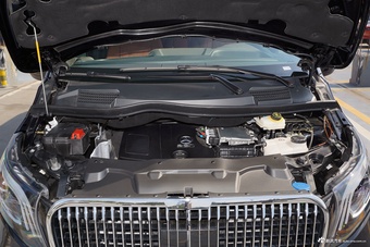 2025款普曼·巅峰2.0T星宇系列