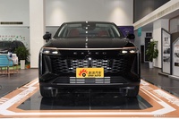 2023款瑶光 400T 两驱优享版