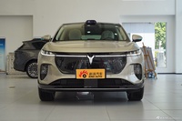 2025款岚图知音 后驱乾崑版