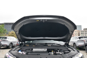 2025款瑞虎9 2.0T 双离合两驱舒享版 7座