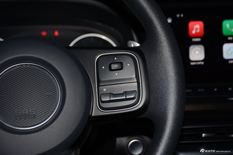 2026款长城炮 2.4T商用炮自动柴油四驱精英型长箱