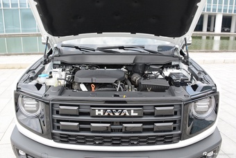 2026款哈弗大狗 2.0T DCT中华田园犬版