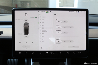 2019款Model 3 Performance高性能版