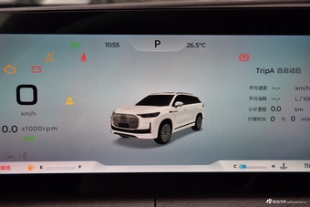 2025款瑞虎9 2.0T 自动两驱尊享版 5座