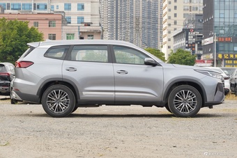 2025款瑞虎8 PRO 290T 两驱豪华+