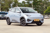 2025款海鸥 智驾版 405km 飞翔版