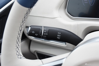 2024款欧拉好猫 401km 尊荣型